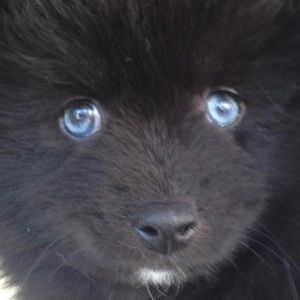 Meet your Posher, Corinne